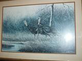 Wild Turkeys Framed Print