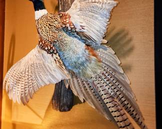 Pheasant on Plinth