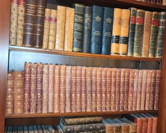 Bookcase View of Books