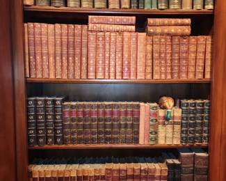 Bookcase View of Books