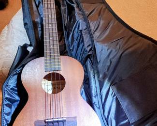 Vintage Guitar in Case