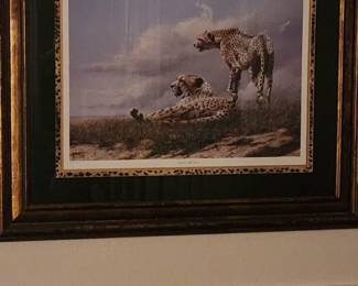 Limited edition print of Cheetahs