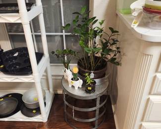 More plants and plant stands