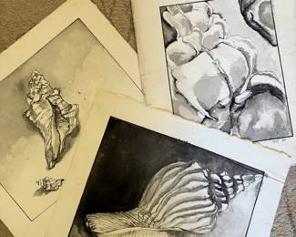 A Collection of Figure Studies, Natural Forms, and Still Life by Peggy Mandell
