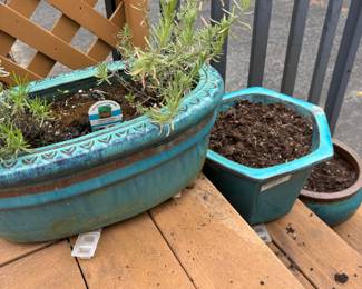 Turquoise Ceramic Planters, Potted Lavender