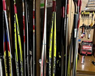 Salomon, Fischer cross country skis and boots and poles. Equipment such as waxing table and tools for maintenance.