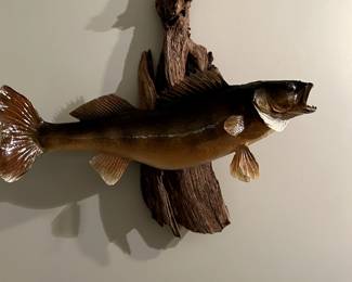 Taxidermy walleye by Guntzviller's.