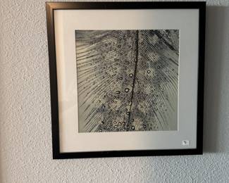 Feather Closeup Print Wall Art