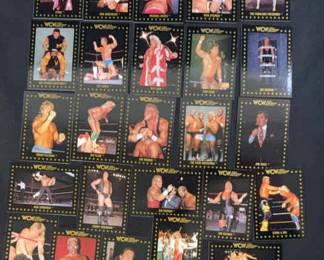 1991 WCW World Champion Wrestling Trading Cards
