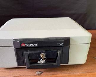 Sentry 1100 Fire Safe