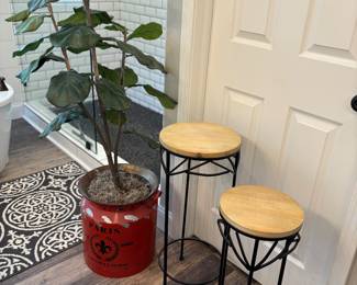 Accent tables, rug, plant