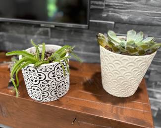 Plants