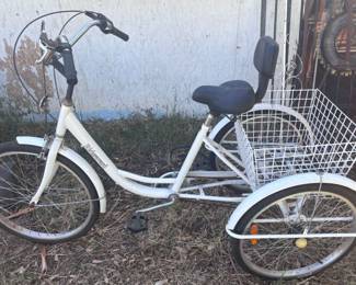 Adult Ridgeyard Tricycle 