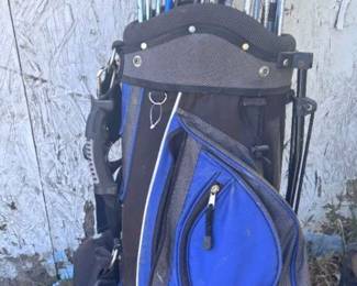 Ping Golf Clubs and Bag
