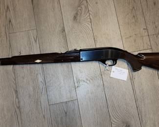 Remington Nylon 66 .22 LR