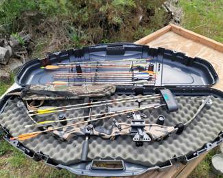 Silverhawk Compound Bow