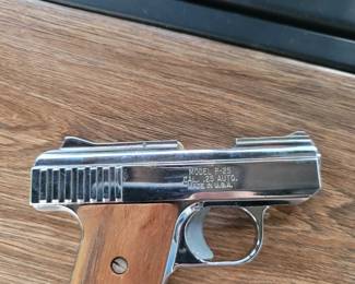Raven Arms Model P-25