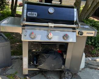 Weber Grill