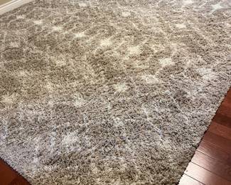 Large shag collection rug.
9’x12’