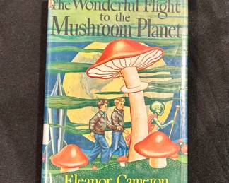 I love the cover of this vintage book