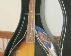 JOHNSON A MODEL MANDOLIN