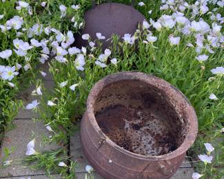 2 cauldrons one Large, and one medium
Cast Iron.