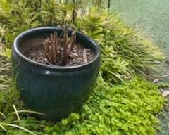 Large Planter