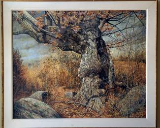 Large original oil painting..."Ancient Tree"