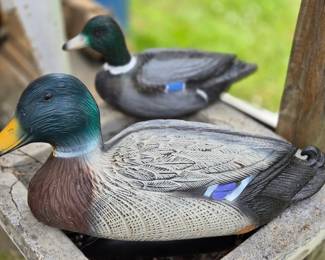 Plastic duck decoys