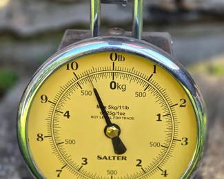 Salter scale