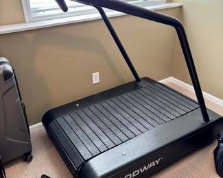 Woodway Treadmill (Like New)