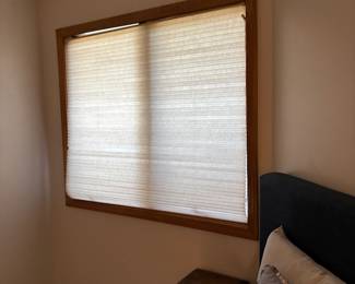 Lots of large windows starting at $50 and up