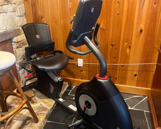 Schwinn exercise bike