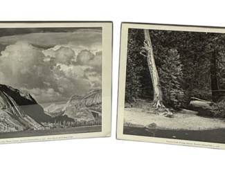 Black White Framed Photos