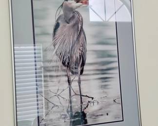 Bill Keay, Photographer Artist (British Columbia)