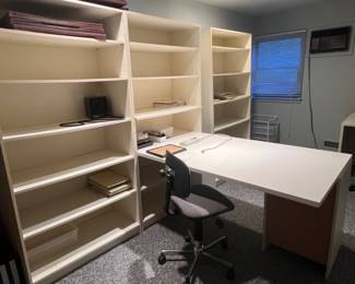SHELVING/DESK