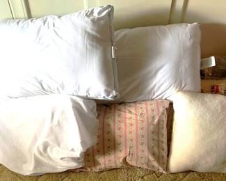 351 - Lot of Assorted Pillows