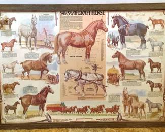 240 - Framed Horse Print - 39" x 27"