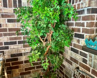 Silk tree