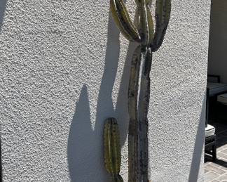 Potted Plant: Senita Cactus
