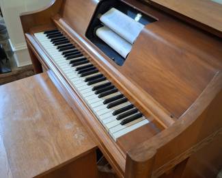 Pianola player piano