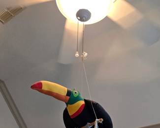 Toucan Bird