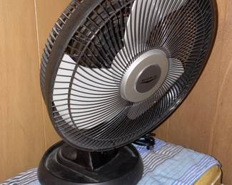 Fan