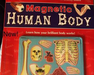 Magnetic Human Body Book
