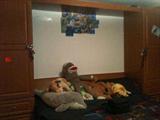 This is a King Size Murphy Bed