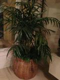 Pair Natural Pot w/ Silk Palms