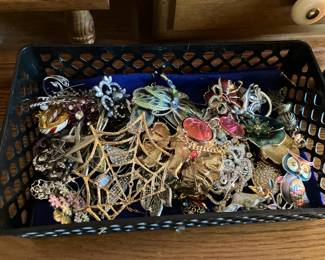 Costume jewelry pins/brooches