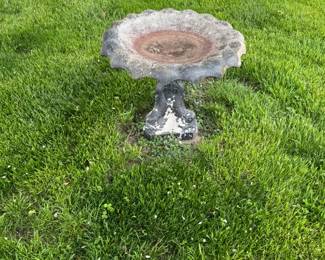 bird bath
