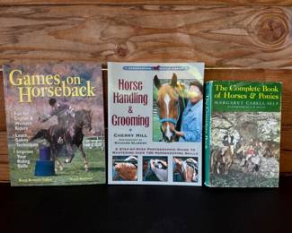 58 GamesonHorsebackHandlingGroomingBookonHorsesPonies