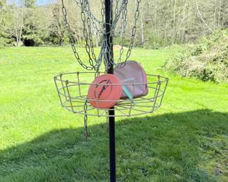 16 TowerRidgeDiscGolfGoalDiscs